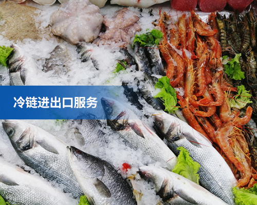 冷链进出口服务